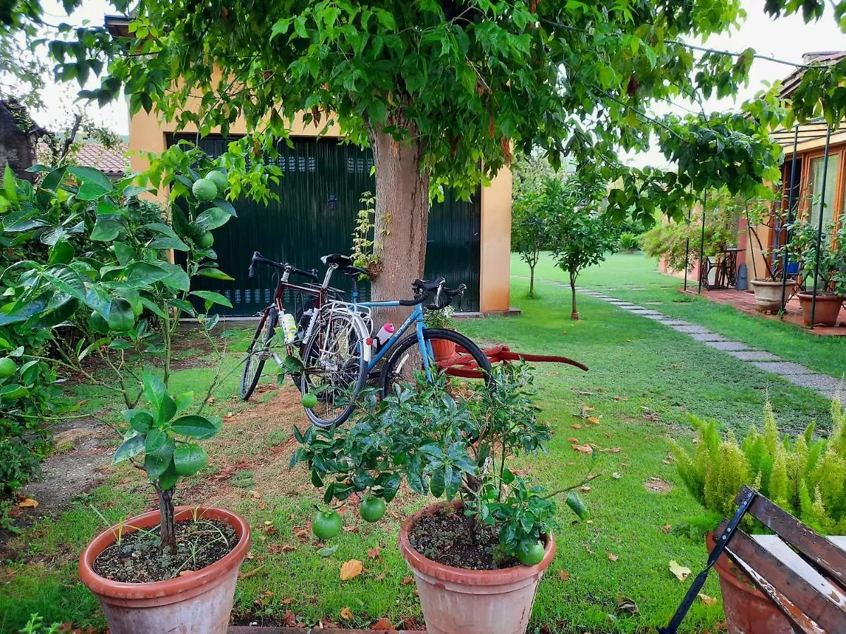 B&B La Corte Di Stelio Pisa Bed & Breakfast